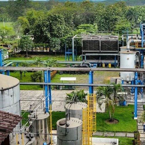 ESG en datos: CO₂, agua, reforestación, energía.